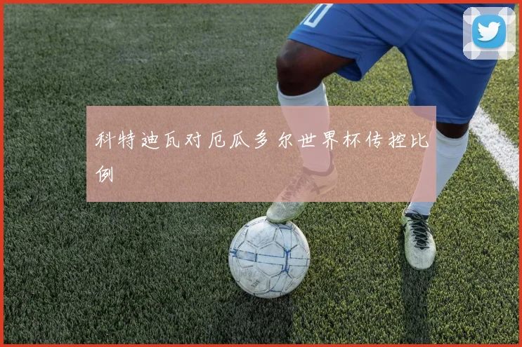 科特迪瓦对厄瓜多尔世界杯传控比例