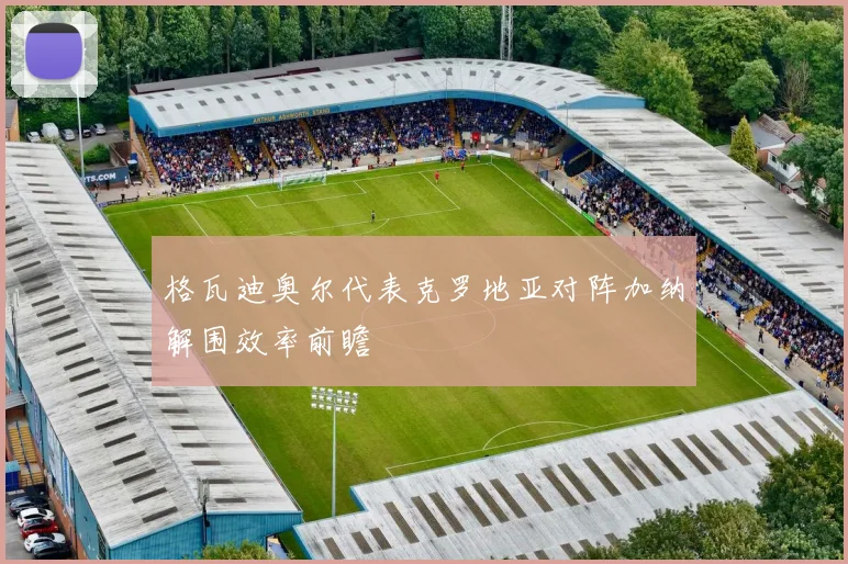 格瓦迪奥尔代表克罗地亚对阵加纳解围效率前瞻