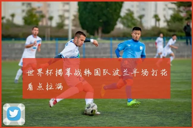 世界杯揭幕战韩国队波兰半场打花看点拉满