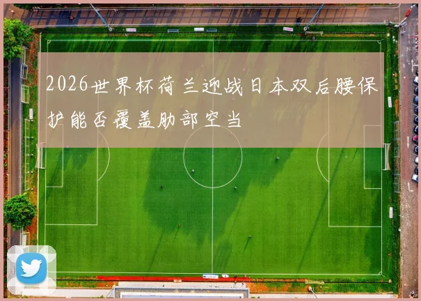 2026世界杯荷兰迎战日本双后腰保护能否覆盖肋部空当