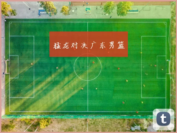 猛龙对决广东男篮