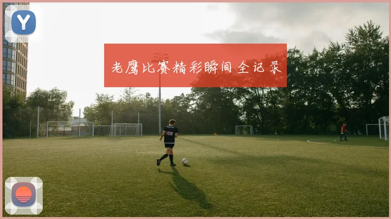 老鹰比赛精彩瞬间全记录
