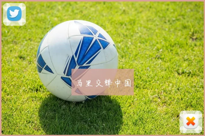 马里交锋中国