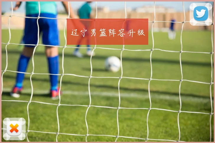 辽宁男篮阵容升级