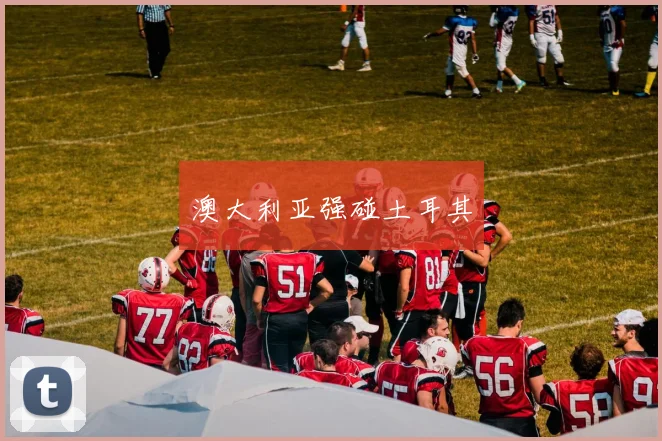 澳大利亚强碰土耳其