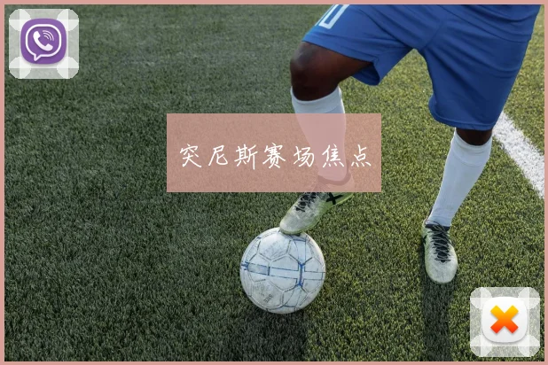 突尼斯赛场焦点