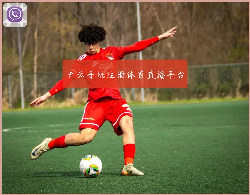 开云手机注册体育直播平台