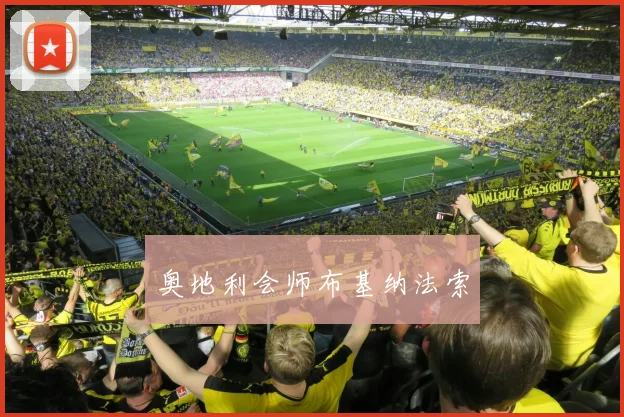 奥地利会师布基纳法索