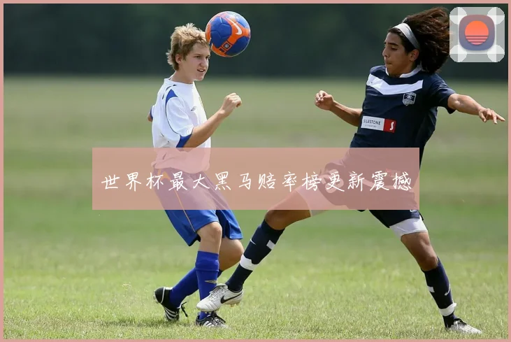 世界杯最大黑马赔率榜更新震撼