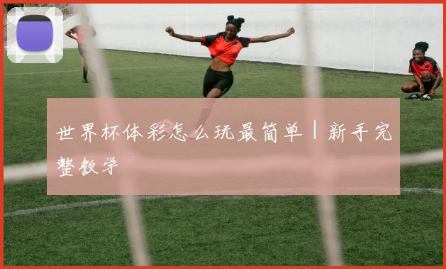 世界杯体彩怎么玩最简单｜新手完整教学