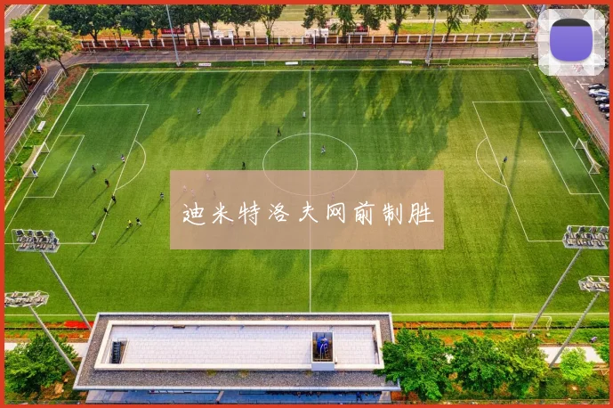 迪米特洛夫网前制胜