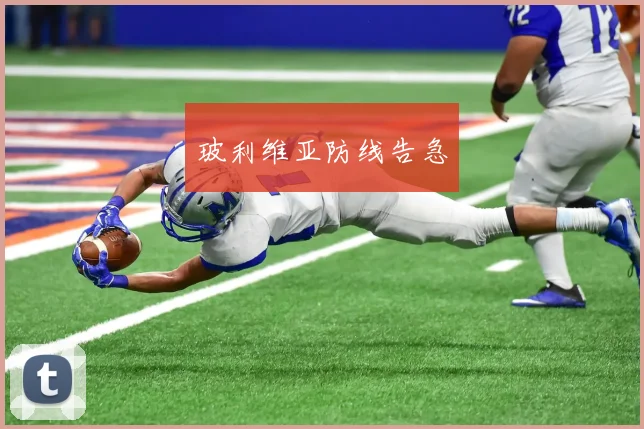 玻利维亚防线告急
