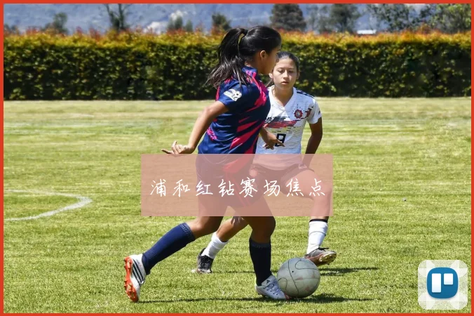 浦和红钻赛场焦点