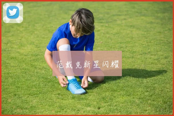 范戴克新星闪耀