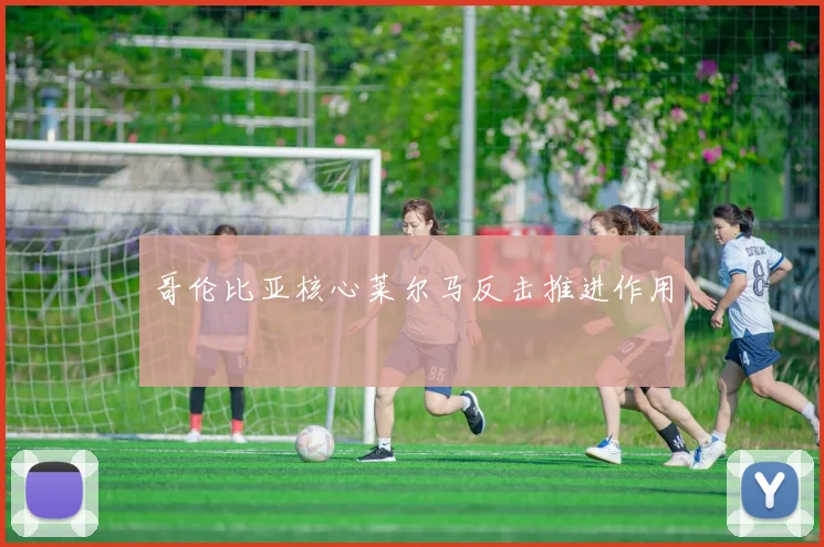哥伦比亚核心莱尔马反击推进作用