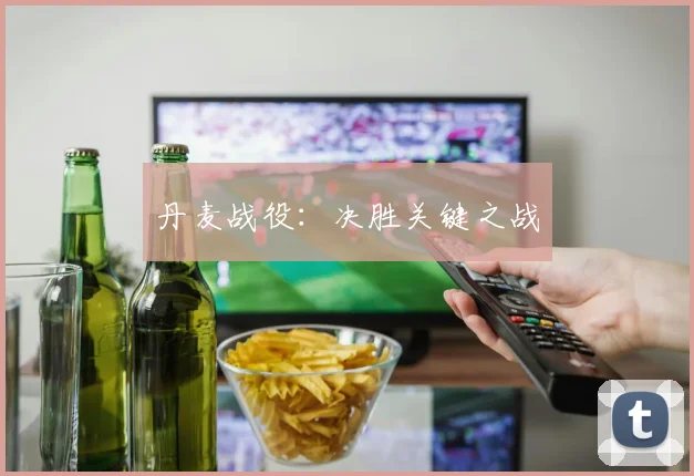 丹麦战役：决胜关键之战