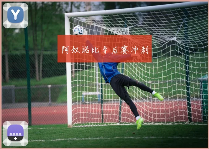 阿奴诺比季后赛冲刺