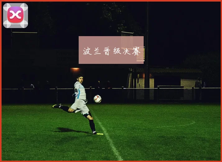 波兰晋级决赛