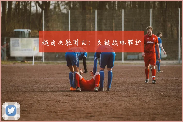 越南决胜时刻：关键战略解析