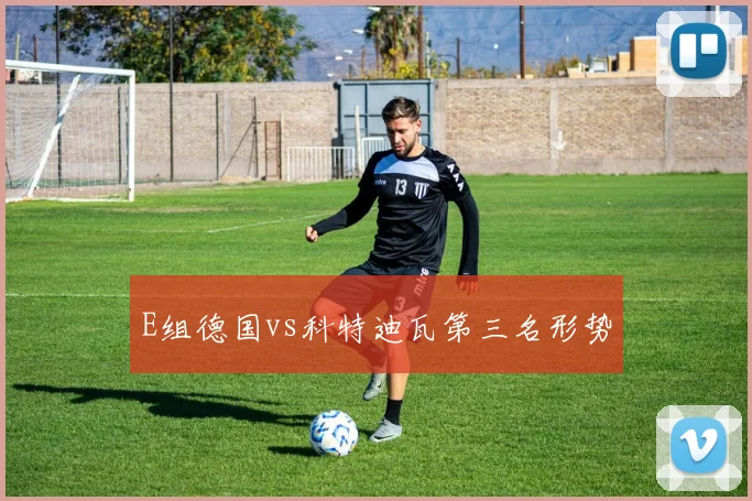 E组德国vs科特迪瓦第三名形势