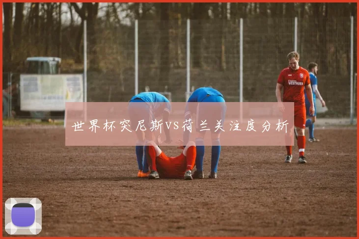 世界杯突尼斯vs荷兰关注度分析