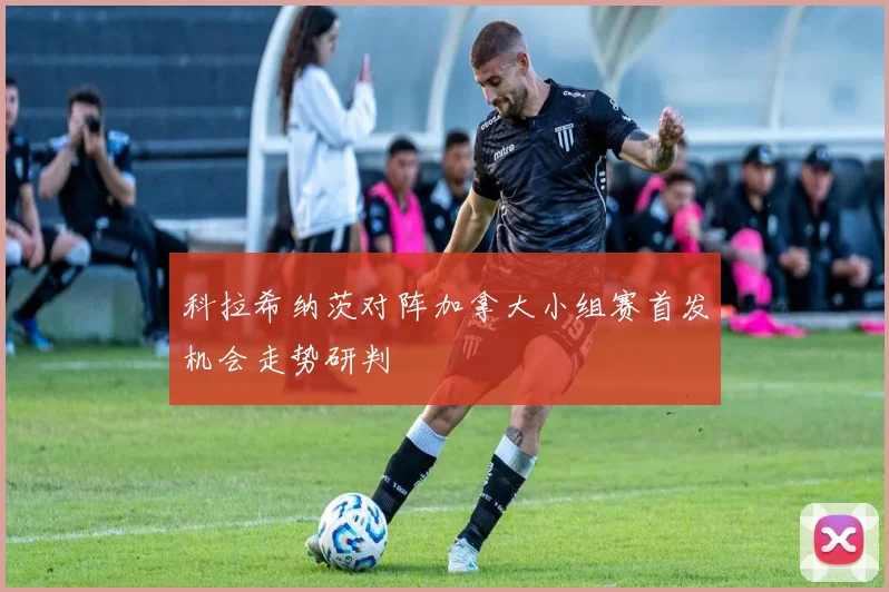 科拉希纳茨对阵加拿大小组赛首发机会走势研判