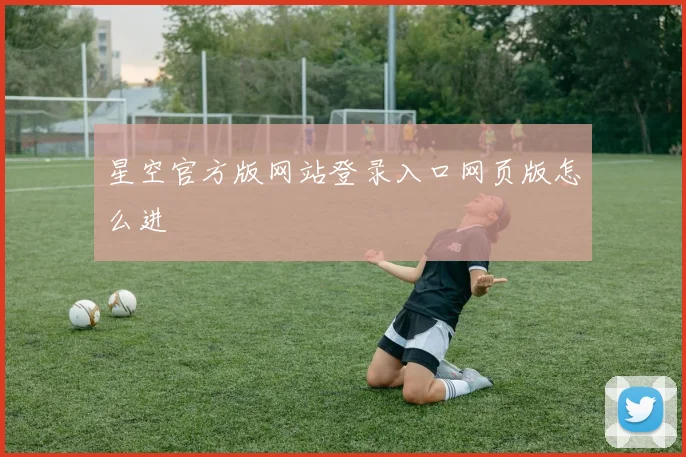 星空官方版网站登录入口网页版怎么进